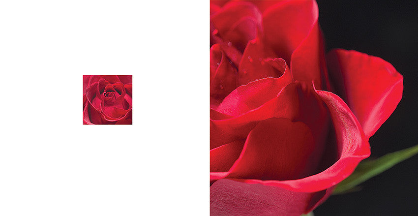 D 144 (dāvanu kartiņa, locīta, 6x6cm)