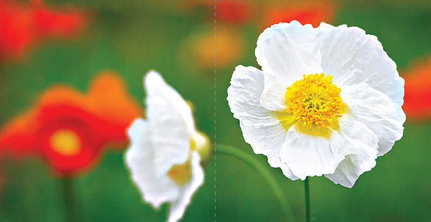 D 208 (dāvanu kartiņa, locīta, 6x6cm)