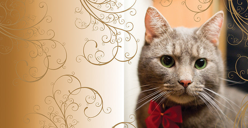 D 209 (dāvanu kartiņa, locīta, 6x6cm)