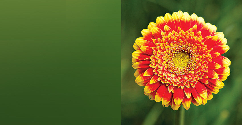 D 210 (dāvanu kartiņa, locīta, 6x6cm)