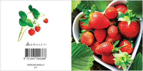 D 1 (dāvanu kartiņa, locīta, 6x6cm)