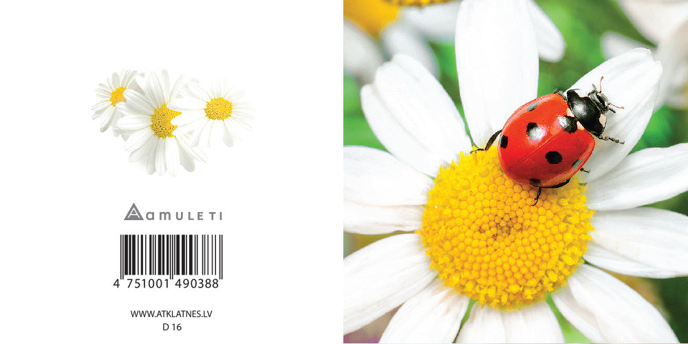 D 16 (dāvanu kartiņa, locīta, 6x6cm)