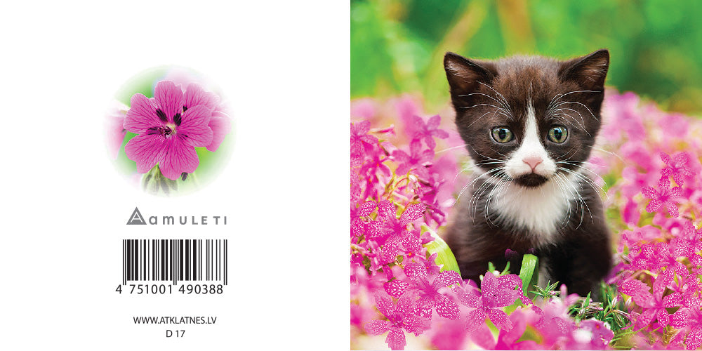 D 17 (dāvanu kartiņa, locīta, 6x6cm)