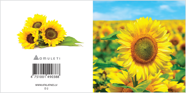 D 2 (dāvanu kartiņa, locīta, 6x6cm)