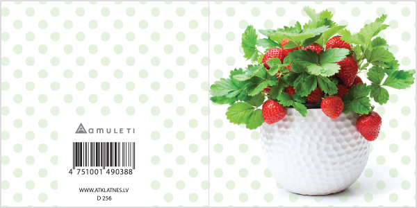 D 256 (dāvanu kartiņa, locīta, 6x6cm)