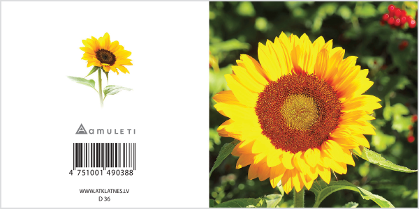 D 36 (dāvanu kartiņa, locīta, 6x6cm)