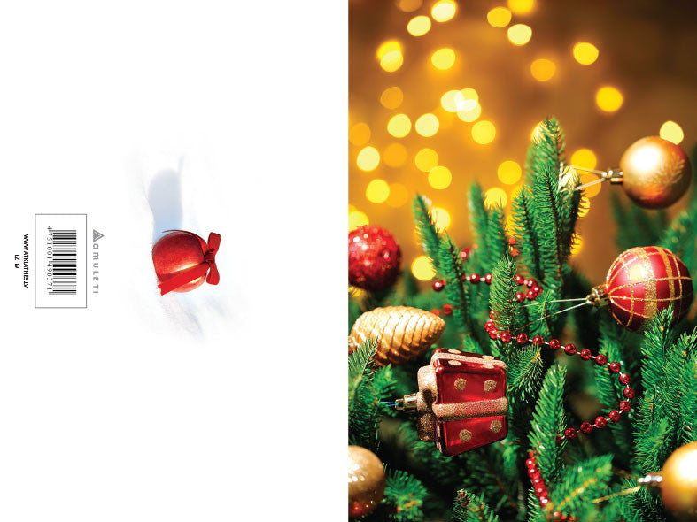 LZ 19 (locīta, 10x15cm)