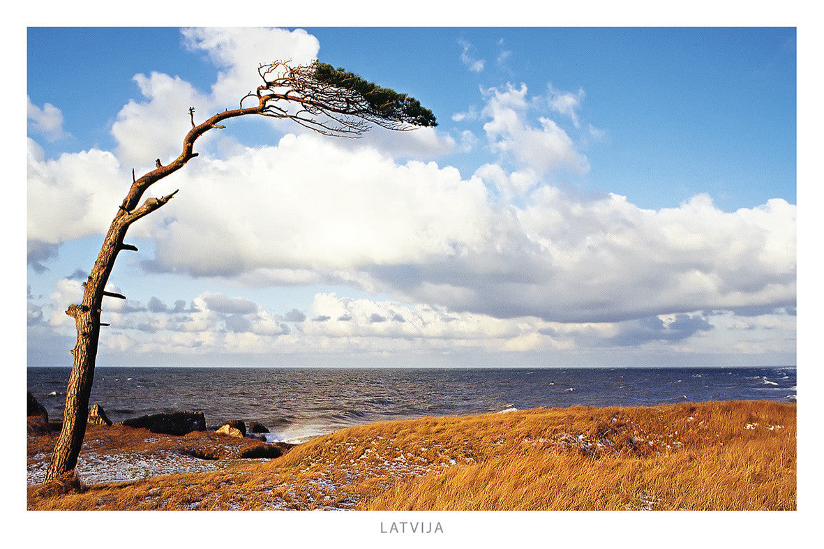 N 6 (pastkarte 10x15cm)