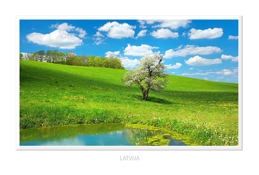 N 96 (pastkarte 10x15cm)